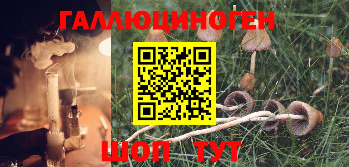 Псилоцибиновые грибы Psilocybine cubensis  Вход с VPN  Кириши 