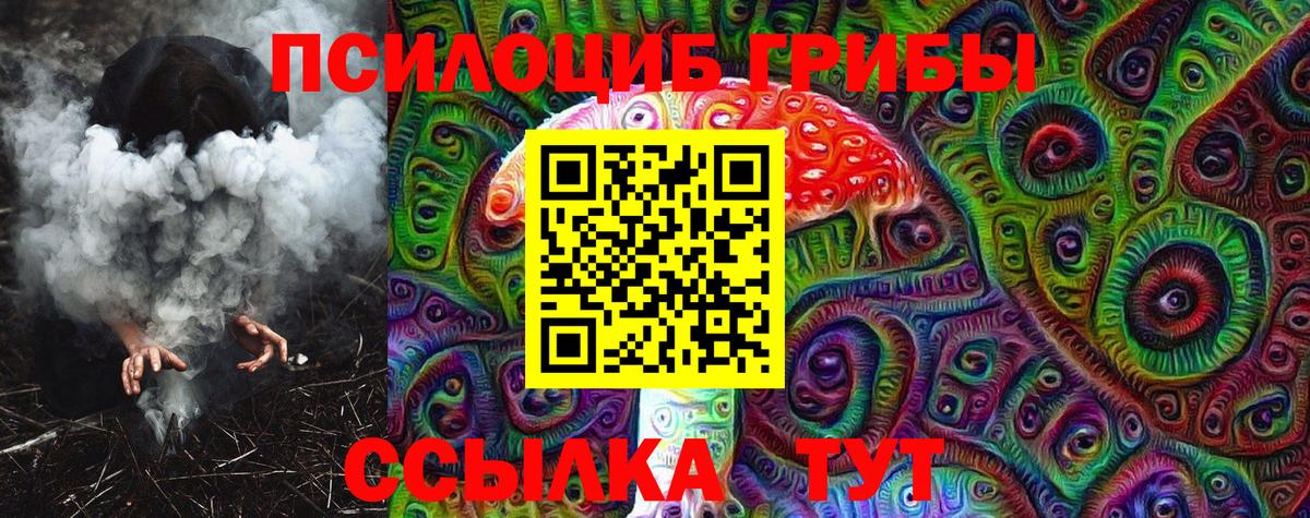 Псилоцибиновые грибы Psilocybine cubensis Кириши